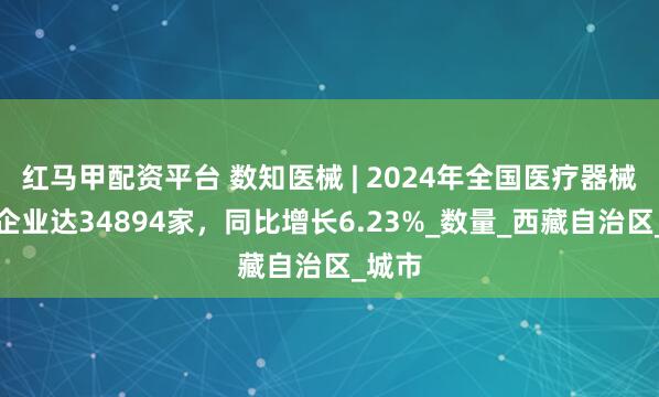 红马甲配资平台 数知医械 | 2024年全国医疗器械生产企业达34894家，同比增长6.23%_数量_西藏自治区_城市