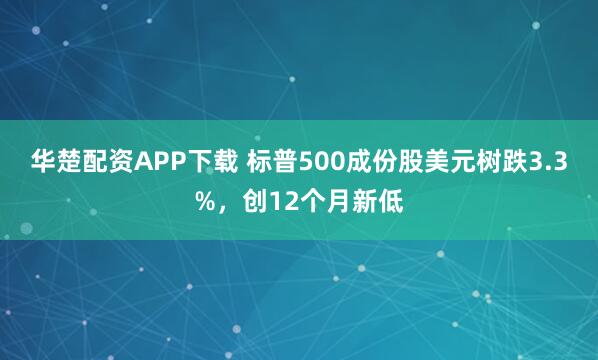 华楚配资APP下载 标普500成份股美元树跌3.3%，创12个月新低