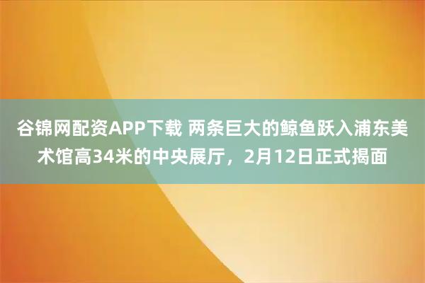 谷锦网配资APP下载 两条巨大的鲸鱼跃入浦东美术馆高34米的中央展厅，2月12日正式揭面
